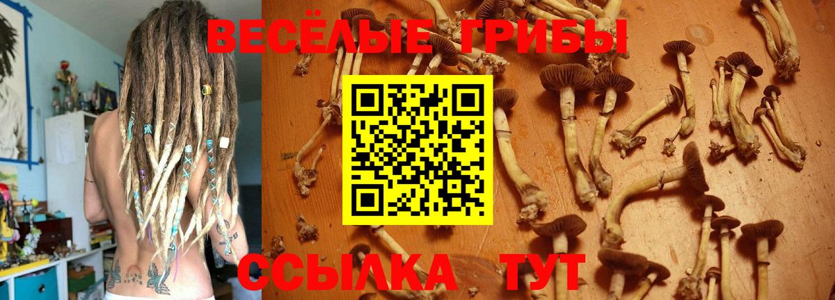 Якутск  Галлюциногенные грибы Magic Shrooms  Галлюциногенные грибы мицелий  Вход с VPN 